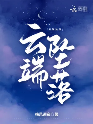 《云端坠落》小说封面