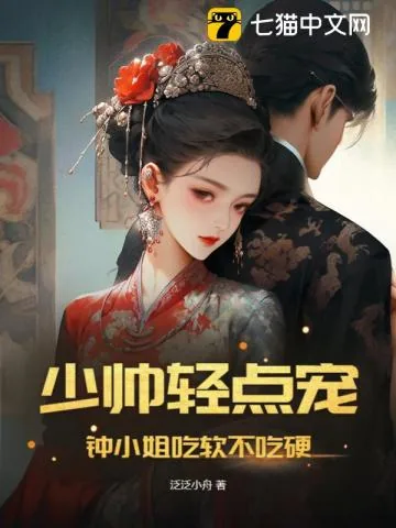 《少帅轻点宠，钟小姐吃软不吃硬》小说封面