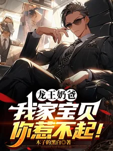 《龙王奶爸：我家宝贝你惹不起！》小说封面