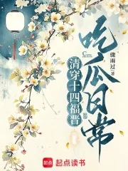 《清穿十四福晋吃瓜日常》小说封面