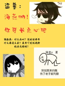 《盗墓：海燕呐，你可长点心吧》小说封面