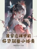 《清穿之四爷的好孕驯兽小娇妻》小说封面