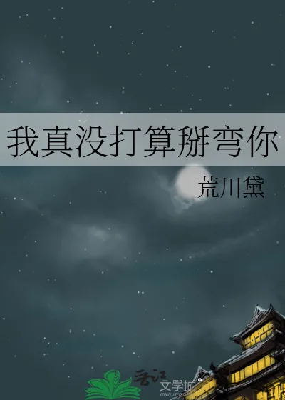 《我真没打算掰弯你》小说封面