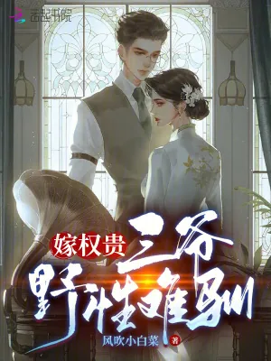 《嫁权贵：三爷野性难驯》小说封面