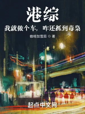 《港综之从警察故事开始》小说封面