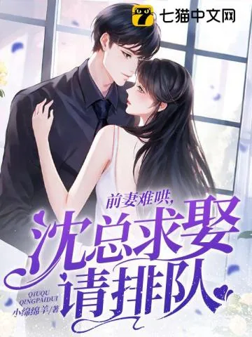 《前妻难哄，沈总求娶请排队》小说封面