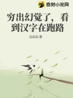《穷出幻觉了，看到汉字在跑路》小说封面