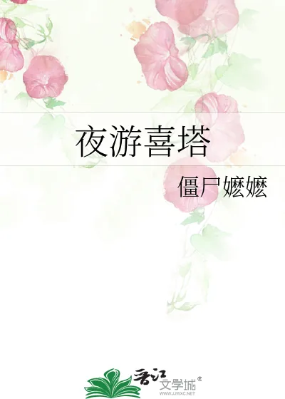 《夜游喜塔》小说封面