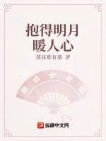 《抱得明月暖人心》小说封面