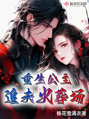 《重生公主追夫火葬场》小说封面