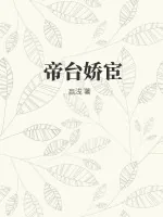 《帝台娇宦》小说封面