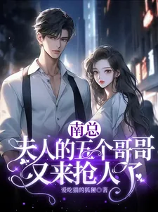 《南总，夫人的五个哥哥又来抢人了》小说封面