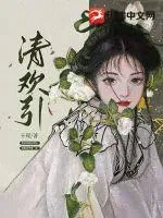 《清欢引》小说封面