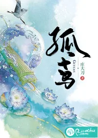 《孤鸢》小说封面