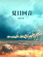《夏日回音》小说封面