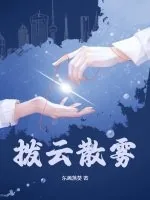 《拨云散雾》小说封面