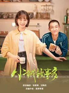 《小城故事多【电视剧】》小说封面