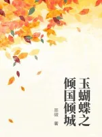 《玉蝴蝶之倾国倾城》小说封面