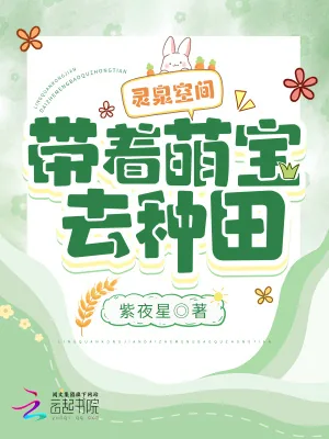 《灵泉空间，带着萌宝去种田》小说封面