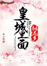 《皇城里面桃花多》小说封面