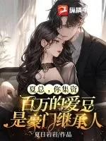 《夏总，你集资百万的爱豆是豪门继承人》小说封面