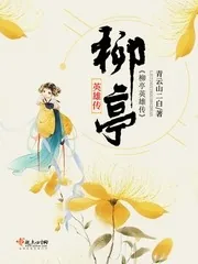 《柳亭英雄传》小说封面