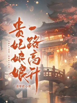 《贵妃娘娘一路高升》小说封面