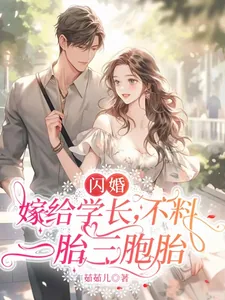 《闪婚嫁给学长，不料一胎三胞胎》小说封面