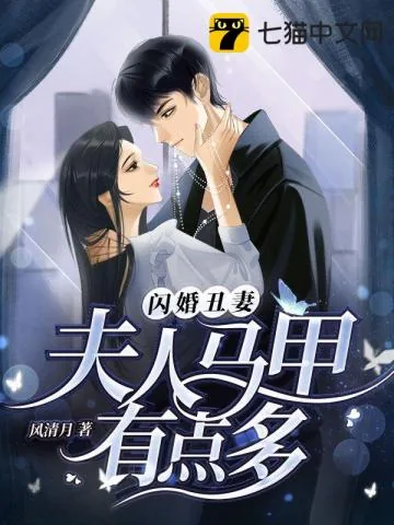 《闪婚丑妻，夫人马甲有点多》小说封面