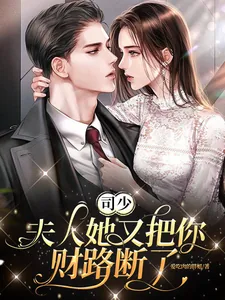 《司少，夫人她又把你财路断了》小说封面
