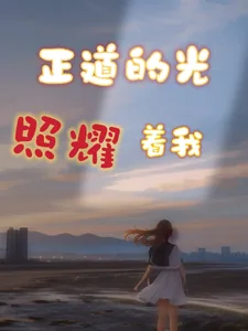 《正道的光照耀着我》小说封面