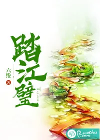 《踏江璧》小说封面
