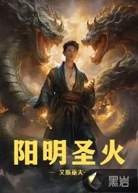 《阳明圣火》小说封面