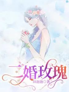 《二婚玫瑰》小说封面