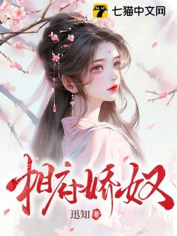 《相府娇奴》小说封面