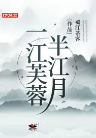 《一江芙蓉半江月》小说封面