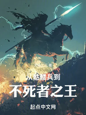 《从骷髅兵到不死者之王》小说封面