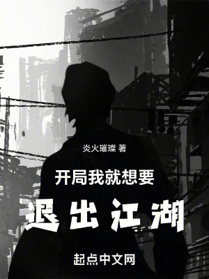 《开局我就想要退出江湖》小说封面