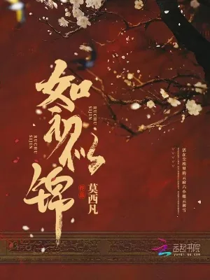 《如初似锦》小说封面