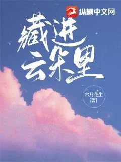 《藏进云朵里》小说封面