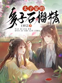 《太子家的多子石榴精》小说封面