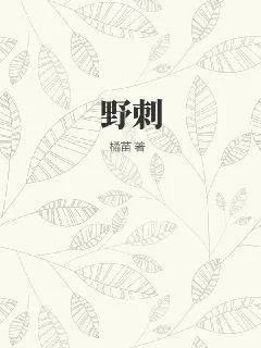 《野刺》小说封面