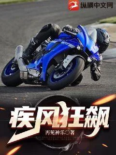 《疾风狂飙》小说封面