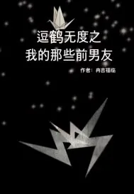 《逗鹤无度之我的那些前男友》小说封面
