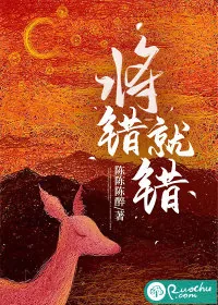 《将错就错》小说封面