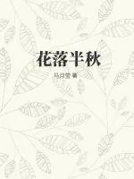 《花落半秋》小说封面