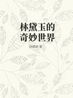 《林黛玉的奇妙世界》小说封面