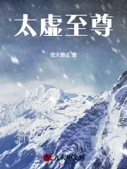 《玄灵天帝》小说封面