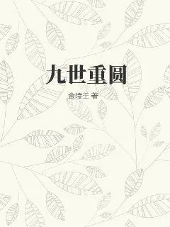 《九世重圆》小说封面