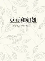 《豆豆和妞妞》小说封面